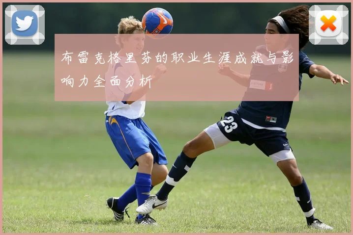 布雷克格里芬的职业生涯成就与影响力全面分析