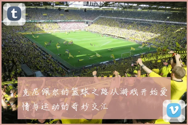 克尼佩尔的篮球之路从游戏开始爱情与运动的奇妙交汇