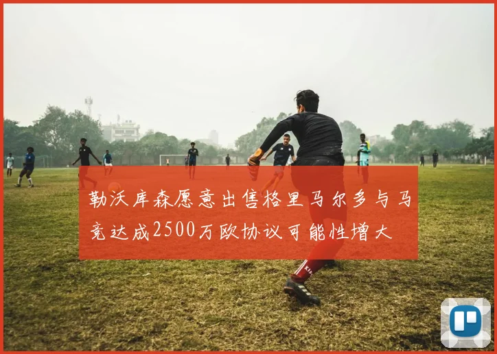 勒沃库森愿意出售格里马尔多与马竞达成2500万欧协议可能性增大